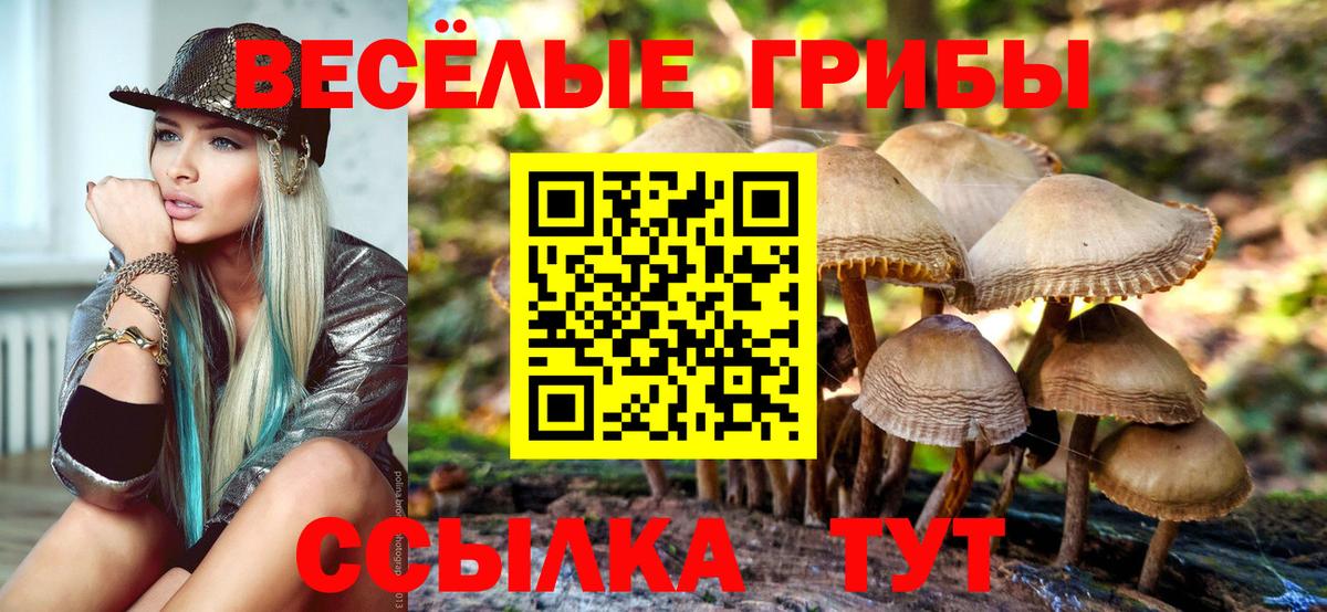 NBOMe Прокопьевск