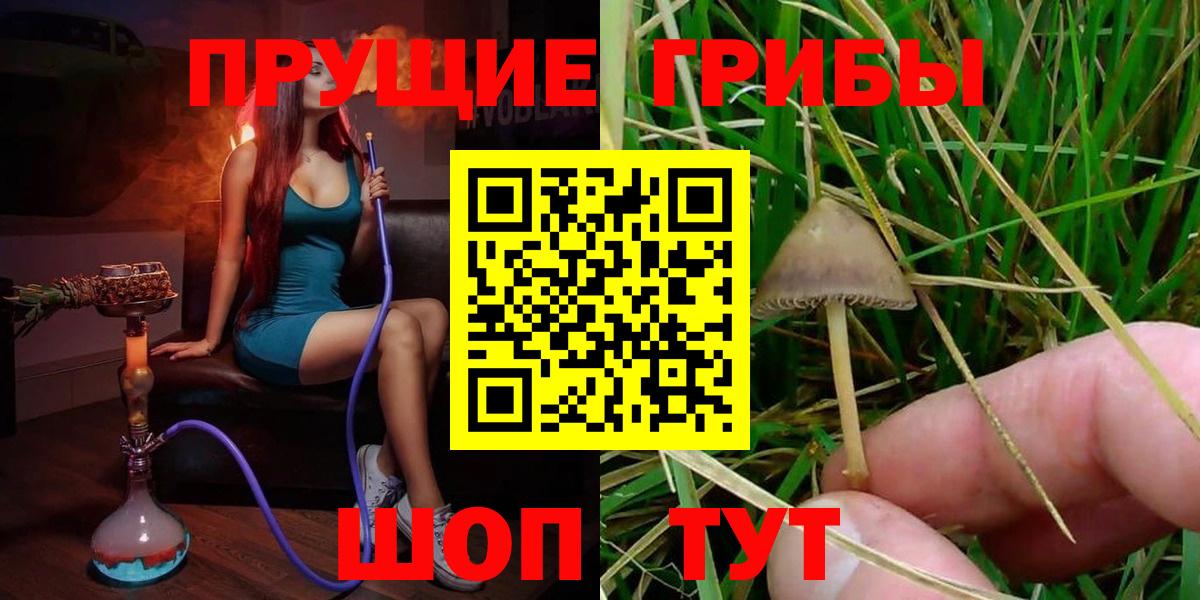 Прокопьевск  Псилоцибиновые грибы мухоморы  Вход с VPN 